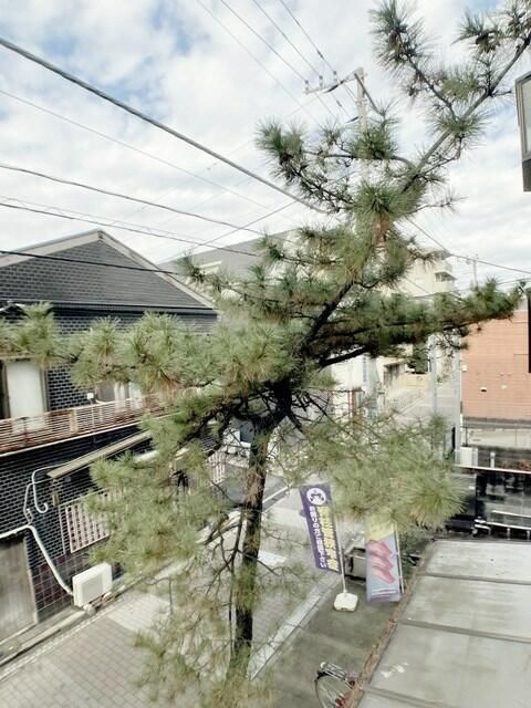 グリーンパレスＭＫの展望