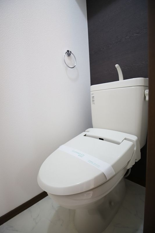 ロザリオカーサⅦ 387のトイレ