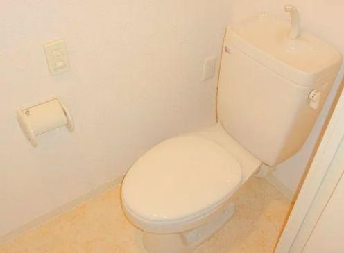 ラフィネ築地のトイレ|トイレです
