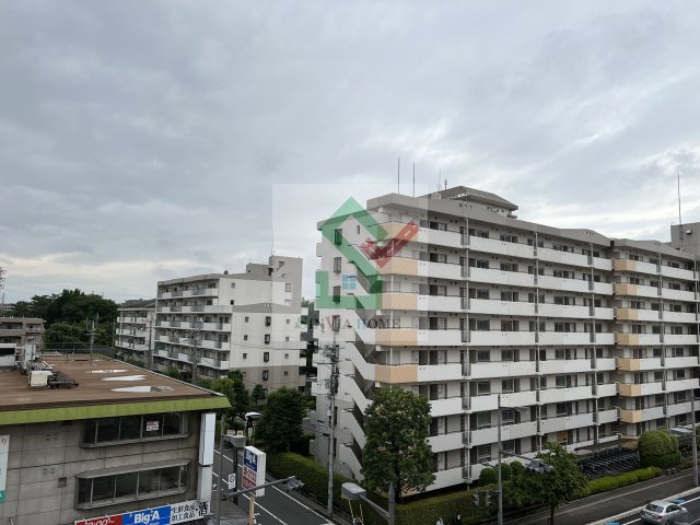 ケリーの展望