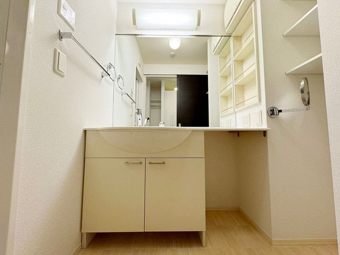 D-room フェニックス武庫川東の洗面所