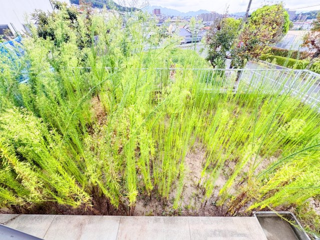 植木メゾネット№2の庭