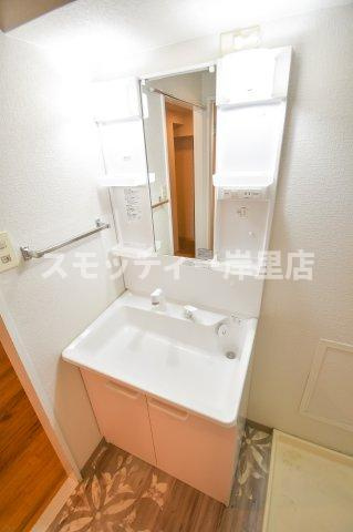 シャルマンハイツ住之江の洗面所