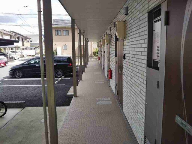 ミランダ宇那木山のその他