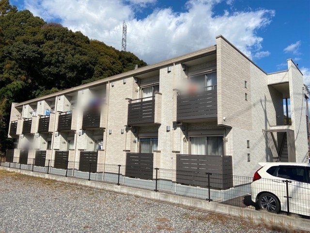 ミランダ宇那木山のその他