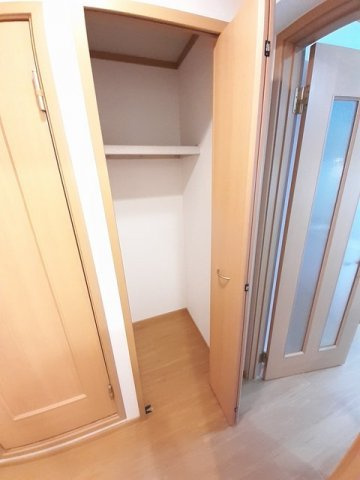 スカイルシパーのその他