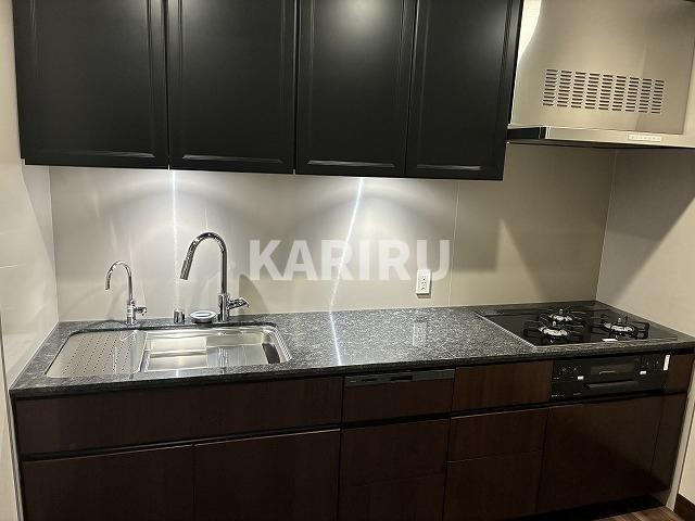グラングリーン大阪　ＴＨＥ　ＮＯＲＴＨ　ＲＥＳＩＤＥＮＣＥのキッチン