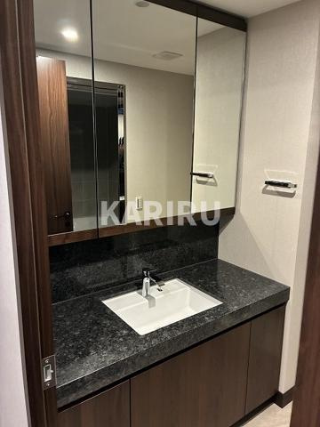 グラングリーン大阪　ＴＨＥ　ＮＯＲＴＨ　ＲＥＳＩＤＥＮＣＥの洗面所