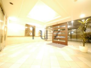アデニウム新横浜のエントランス