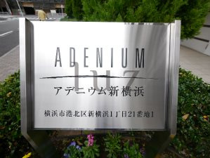 アデニウム新横浜のその他