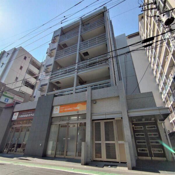 カメリア