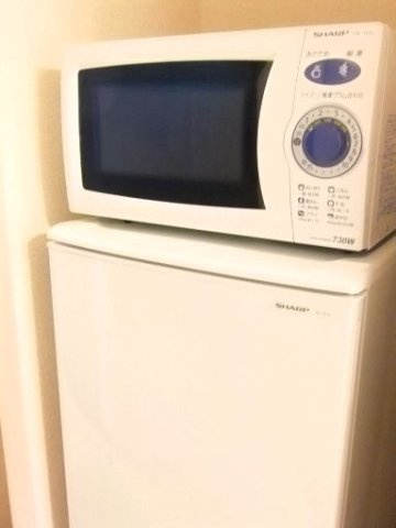 レオネクストコージーコートＩのその他|冷蔵庫・電子レンジ