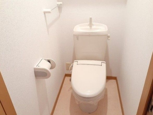 アルディヒロのトイレ