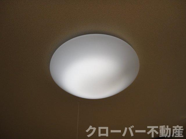 ピアリーの設備|照明