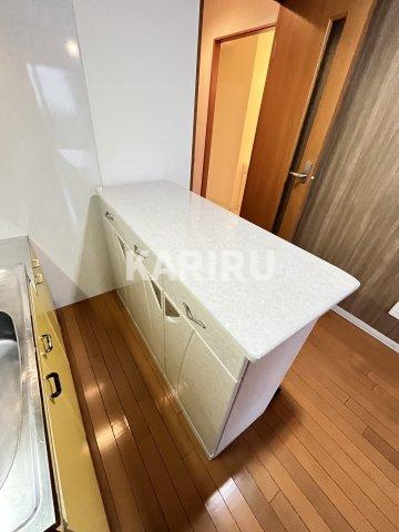 ベルダーIII番館のトイレ|同物件別部屋の写真です