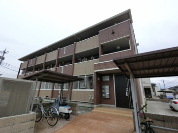 ラフィシアの画像