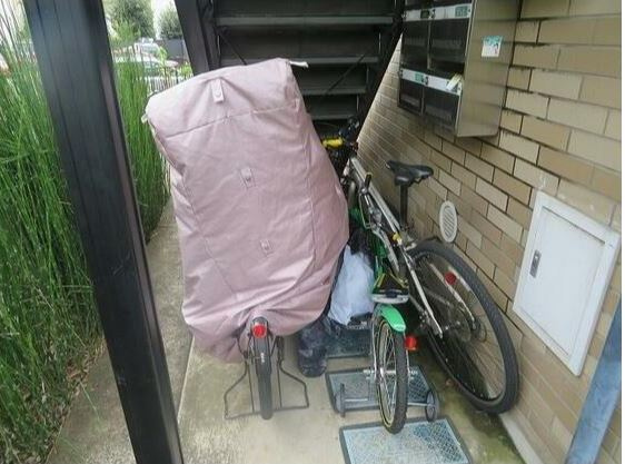 セレーナロカのその他