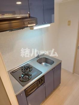 新宿区下落合１丁目の賃貸マンションのキッチン