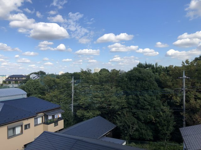 アパートメント枡形の展望