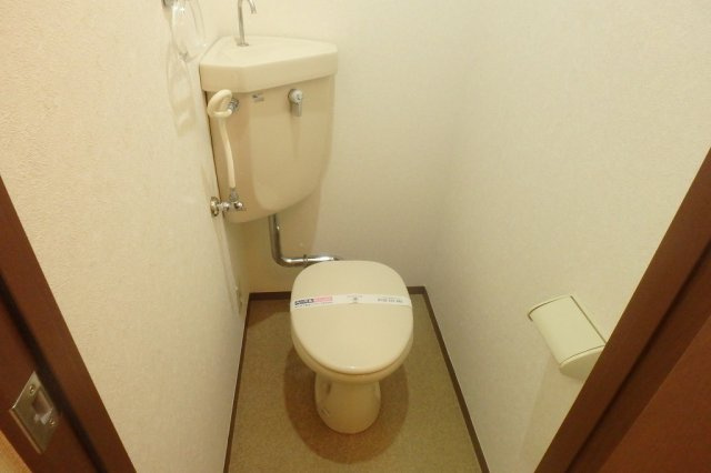ドミールTのトイレ