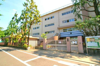 【周辺】 | 杉並区西荻南1丁目　新築戸建　№1 14290万円 | 杉並区立西宮中学校