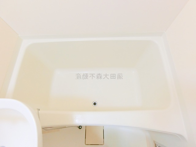 グランドキャステルの浴室
