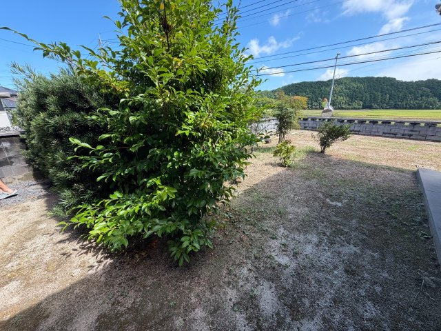 遠賀郡岡垣町 6LDK＋納屋の庭|お庭が付いています