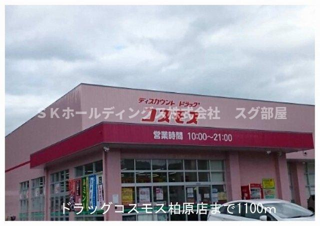 サンパティークⅠの周辺|コスモスまで1100m