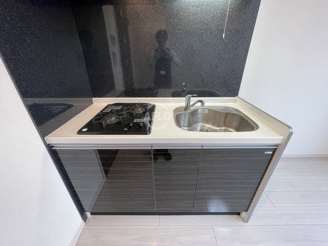 エグゼ難波南Ⅱのキッチン|エグゼ難波南Ⅱ　2口ガスシステムキッチン