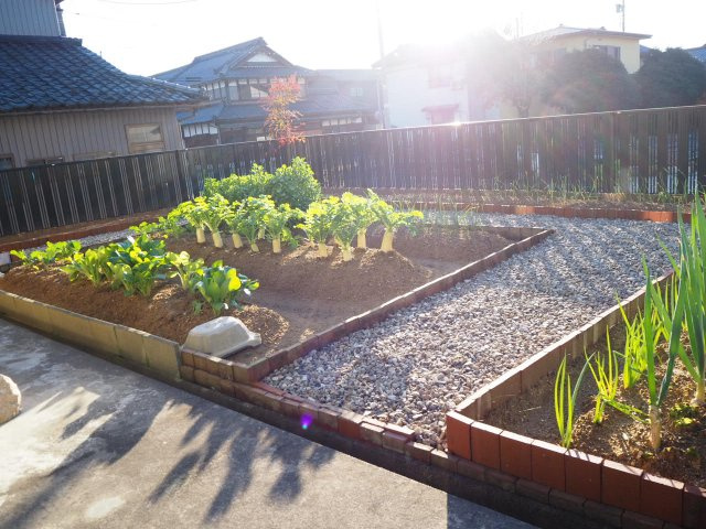 鯖江市石田下町　平屋の贅沢なお家の庭