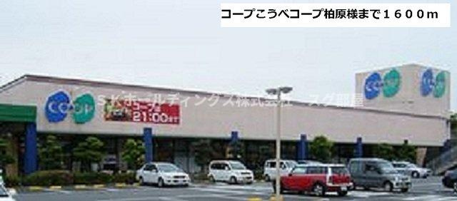 ツバメの周辺|コープ神戸まで1600m