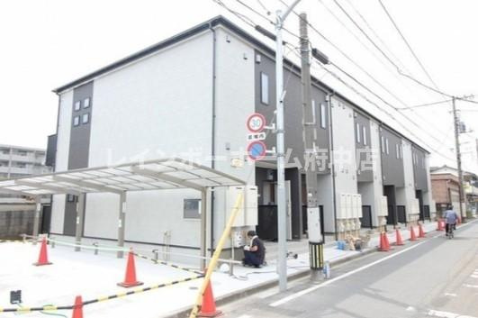 Amour　Sora