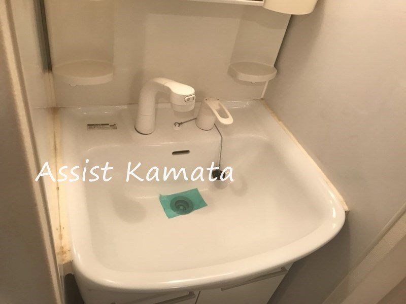 ココナッツ・コート の独立洗面台