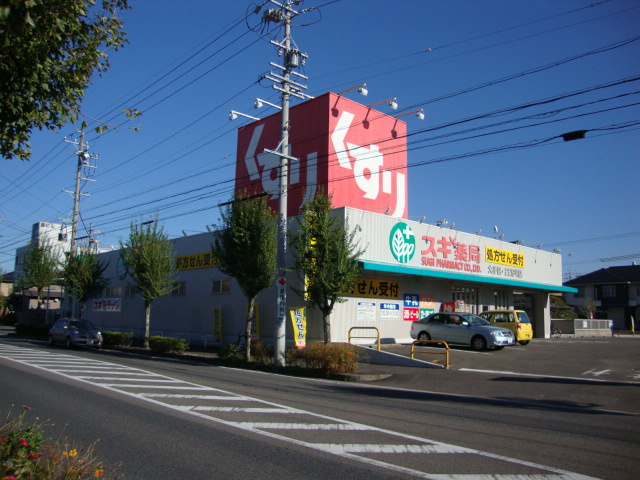 メゾンかのんの周辺|スギ薬局大手店まで834ｍ