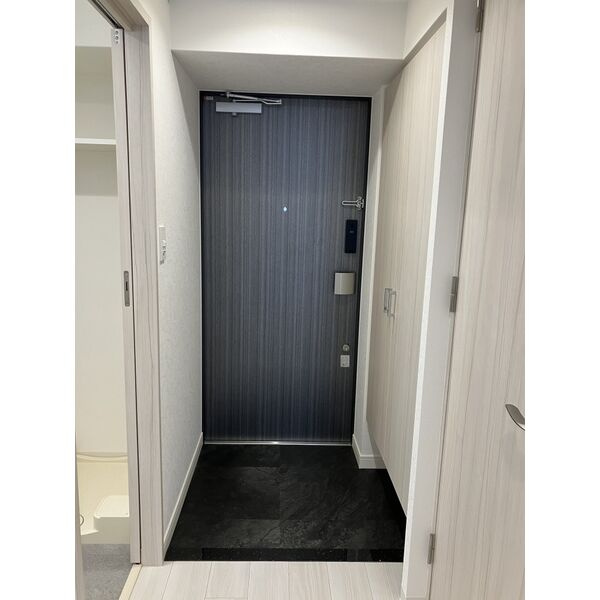 ソルテラスUMEDA NORTHの玄関