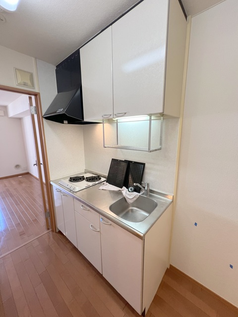 ラミーナＴＳのキッチン|★※別号室の写真です　ガス２口システムキッチン★