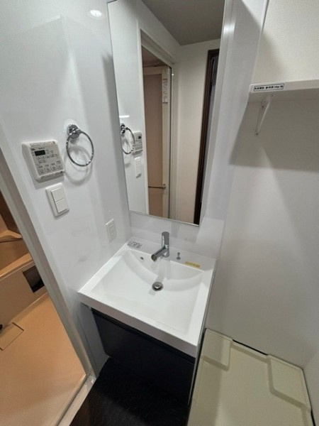 Ｔｈｅ　Ｓｈｉｎａｇａｗａ　Ｅａｓｔ　Ｒｅｓｉｄｅｎｃｅの洗面所|スペースが確保できる洗面所です