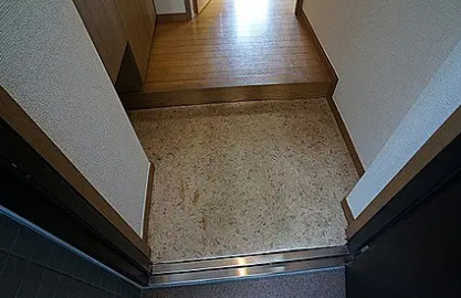プラネット南青山の玄関