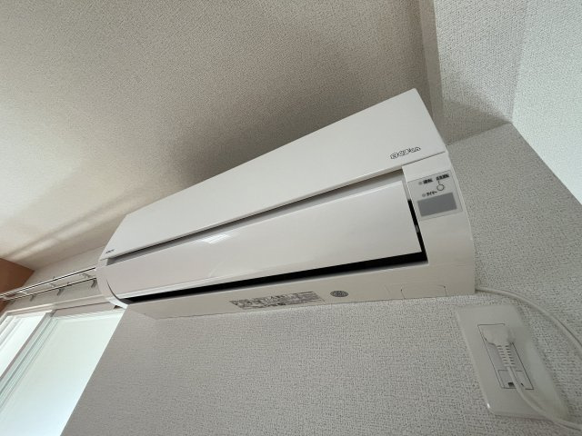 シャラの内装