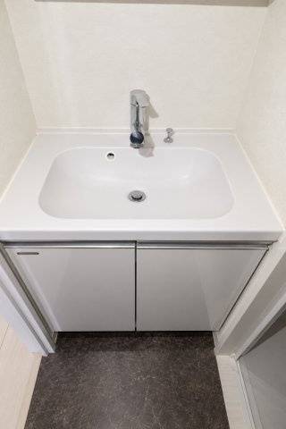 クレヴィスタ大森Ⅱの独立洗面台