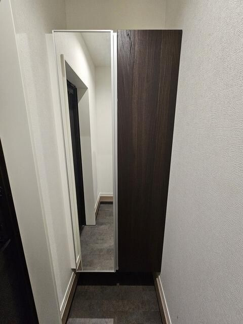 ウェルスクエア三軒茶屋Ⅴの玄関|収納もある玄関です