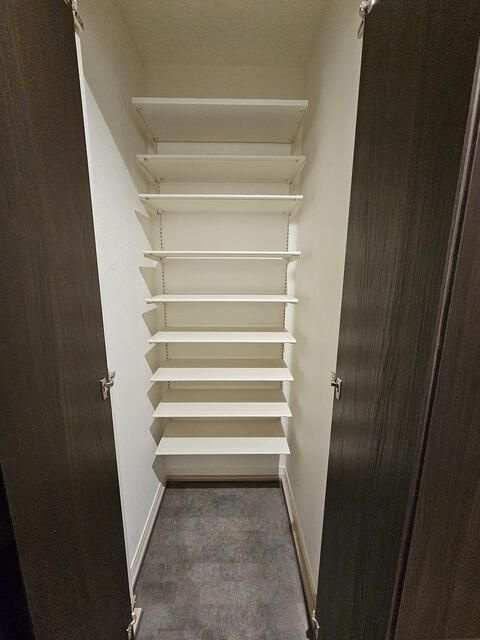 ウェルスクエア三軒茶屋Ⅴの収納|収納豊富です