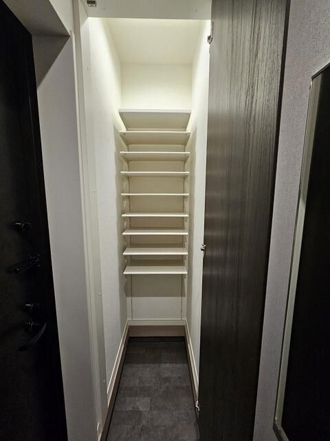 ウェルスクエア三軒茶屋Ⅴの収納|収納のためのスペースです