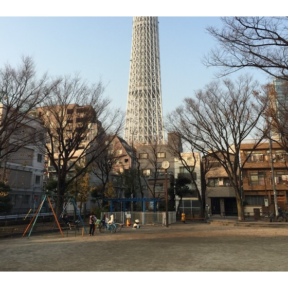 Ｚマンションの周辺|公園「業平公園まで244ｍ」業平公園