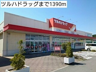 ビッグ　アイランドⅣの周辺|ツルハドラッグまで1390m