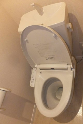 レオネクストカサベルテのその他