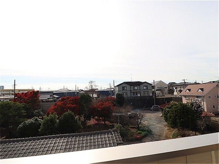 アンジュの展望