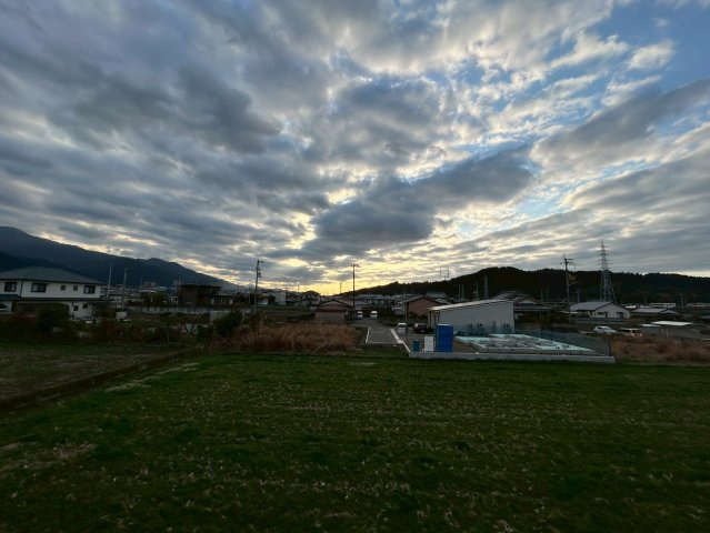 シンプルＮのその他