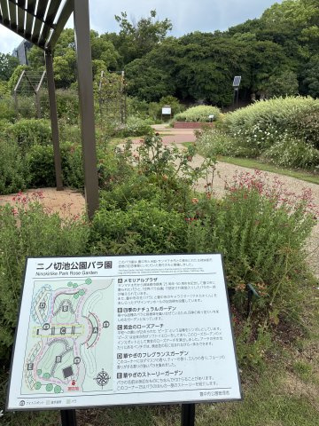 桃山台グリーンハイツの周辺|二ノ切池公園バラ園