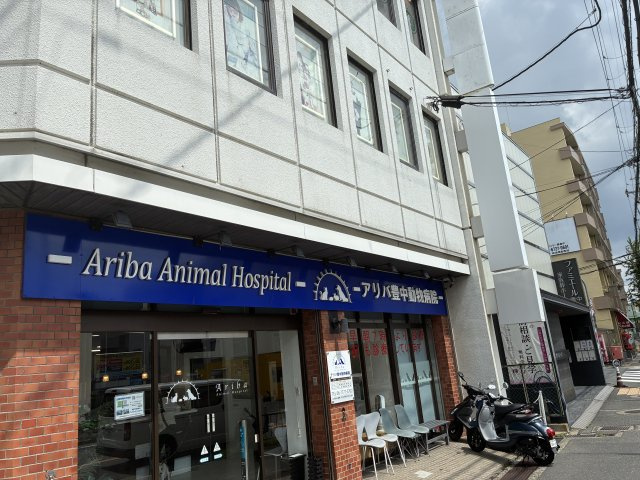 桃山台グリーンハイツの周辺|アリバ豊中動物病院